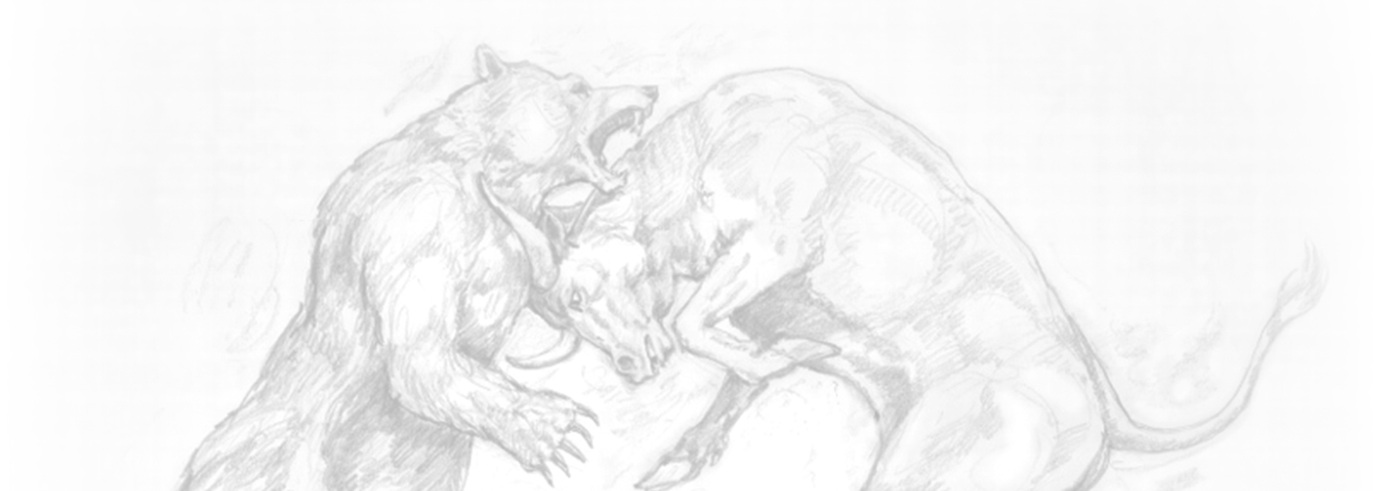 bull and bear
